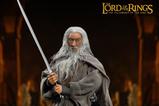 01-El-Seor-de-los-Anillos-Figura-Dynamic-8ction-Heroes-19-Gandalf-the-Grey-21-c.jpg