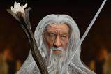 08-el-seor-de-los-anillos-figura-dynamic-8ction-heroes-19-gandalf-the-grey-21-c.jpg