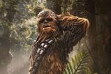 05-Estatua-Art-Scale-Chewbacca-and-Tokkat.jpg