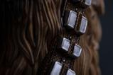 06-Estatua-Art-Scale-Chewbacca-and-Tokkat.jpg