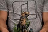 12-Estatua-Art-Scale-Chewbacca-and-Tokkat.jpg