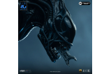 09-figura-alien-xenomorph-warrior-vs-corporal-dwayne-hicks-deluxe-035399015373.webp