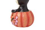 02-Figura-Figaro-Jack-O-Lantern.jpg