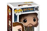 02-figura-harry-potter-sirius-black-vinilo-pop.jpg