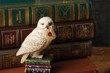 02-figura-hedwig-mini.jpg