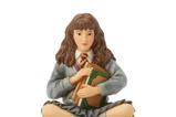 06-Figura-Hermione-Granger-con-libros.jpg