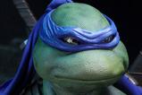 04-figura-leonardo.jpg