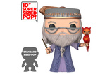 02-figura-pop-harry-potter-albus-dumbledore-with-fawkes-25cm-105410.jpg