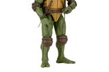 01-Figura-Raphael.jpg