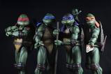 03-Figura-Raphael.jpg