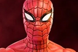 01-figura-Spider-Man-Animated-Series.jpg