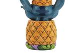 03-figura-stitch-in-a-pineapple.jpg