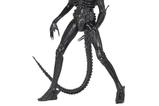 01-Figura-Ultimate-Big-Chap-Alien-40-Aniversario-SDCC.jpg