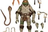 04-Figura-Ultimate-Michelangelo-as-the-Mummy.jpg