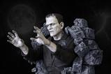 05-Frankenstein-Escultura-de-Pared-Classic-Horror-Edition-Half-Scale-48-cm.jpg