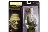 01-Frankenstein-Figura-el-Monstruo-20-cm.jpg