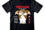 01-Gremlins-Camiseta-The-Rules.jpg