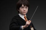 04-Harry-Potter-Busto-11-Harry-76-cm.jpg
