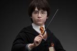 05-Harry-Potter-Busto-11-Harry-76-cm.jpg