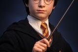 07-Harry-Potter-Busto-11-Harry-76-cm.jpg