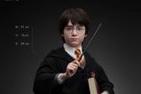 14-Harry-Potter-Busto-11-Harry-76-cm.jpg