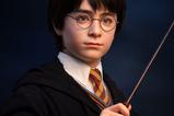 19-Harry-Potter-Busto-11-Harry-76-cm.jpg