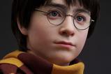 25-Harry-Potter-Busto-11-Harry-76-cm.jpg