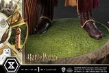 25-Harry-Potter-Estatua-Prime-Collectibles-16-Harry-Potter-Quidditch-Edition-31-.jpg