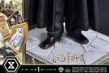 11-Harry-Potter-Estatua-Prime-Collectibles-16-Harry-Potter-with-Hedwig-28-cm.jpg