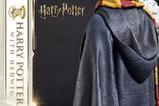 13-Harry-Potter-Estatua-Prime-Collectibles-16-Harry-Potter-with-Hedwig-28-cm.jpg