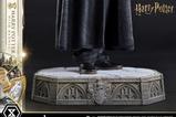 14-Harry-Potter-Estatua-Prime-Collectibles-16-Harry-Potter-with-Hedwig-28-cm.jpg