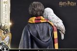 18-Harry-Potter-Estatua-Prime-Collectibles-16-Harry-Potter-with-Hedwig-28-cm.jpg
