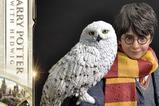 20-Harry-Potter-Estatua-Prime-Collectibles-16-Harry-Potter-with-Hedwig-28-cm.jpg