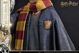 23-Harry-Potter-Estatua-Prime-Collectibles-16-Harry-Potter-with-Hedwig-28-cm.jpg