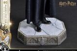 24-Harry-Potter-Estatua-Prime-Collectibles-16-Harry-Potter-with-Hedwig-28-cm.jpg