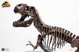 11-Jurassic-Park-ECC-Elite-Creature-Line-Estatua-124Rotunda-TRex-Skeleton-Bronz.jpg