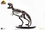 09-Jurassic-Park-ECC-Elite-Creature-Line-Estatua-18-Rotunda-TRex-Skeleton-Bronz.jpg