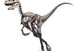 01-Jurassic-Park-Estatua-14-Raptor-Skeleton-Bronze-46-cm.jpg
