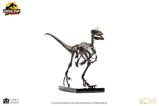 04-Jurassic-Park-Estatua-14-Raptor-Skeleton-Bronze-46-cm.jpg