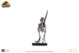 08-Jurassic-Park-Estatua-14-Raptor-Skeleton-Bronze-46-cm.jpg