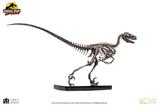 10-Jurassic-Park-Estatua-14-Raptor-Skeleton-Bronze-46-cm.jpg