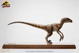 01-Jurassic-Park-Estatua-14-Velociraptor-Clever-Girl-49-cm.jpg