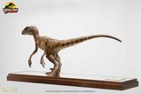 02-Jurassic-Park-Estatua-14-Velociraptor-Clever-Girl-49-cm.jpg