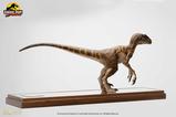 05-Jurassic-Park-Estatua-14-Velociraptor-Clever-Girl-49-cm.jpg