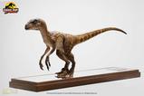 06-Jurassic-Park-Estatua-14-Velociraptor-Clever-Girl-49-cm.jpg