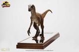 07-Jurassic-Park-Estatua-14-Velociraptor-Clever-Girl-49-cm.jpg