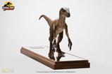 09-Jurassic-Park-Estatua-14-Velociraptor-Clever-Girl-49-cm.jpg