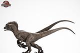 10-Jurassic-Park-Estatua-18-Pair-of-Velociraptors-30-cm.jpg