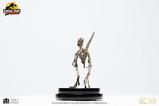 05-Jurassic-Park-Estatua-18-Velociraptor-Skeleton-Bronze-24-cm.jpg