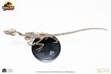 08-Jurassic-Park-Estatua-18-Velociraptor-Skeleton-Bronze-24-cm.jpg